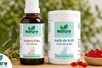 Arthrose chien : comprendre la maladie et trouver une vraie solution naturelle