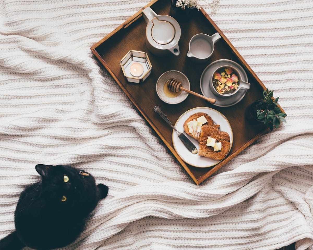 chat  aliments