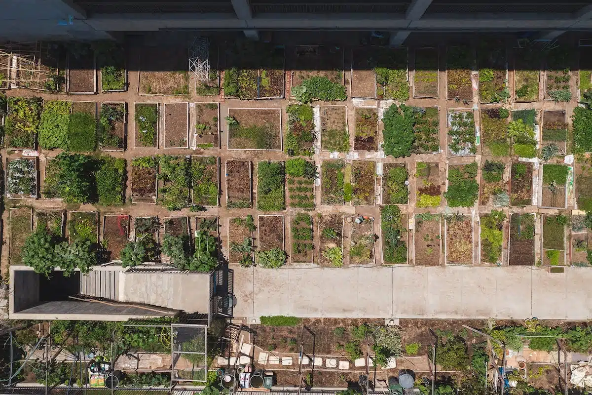 ferme urbaine