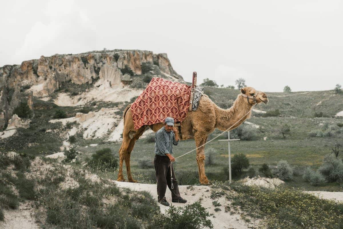 homme  animaux