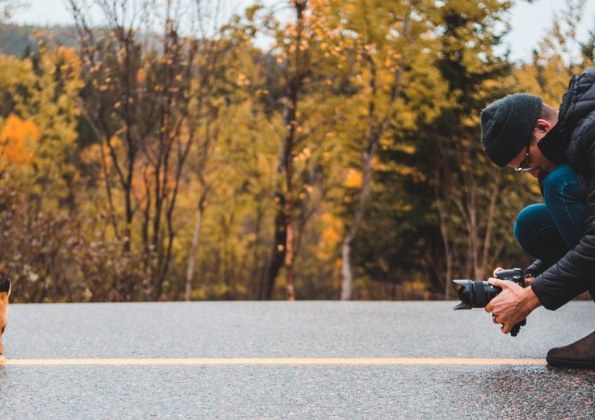 Prise en photo d'un animal de compagnie