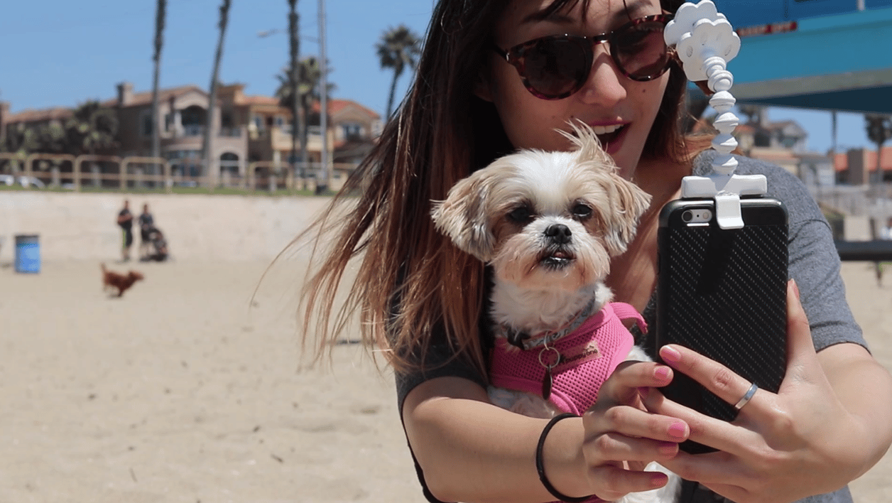Prendre un selfie avec son animal de compagnie