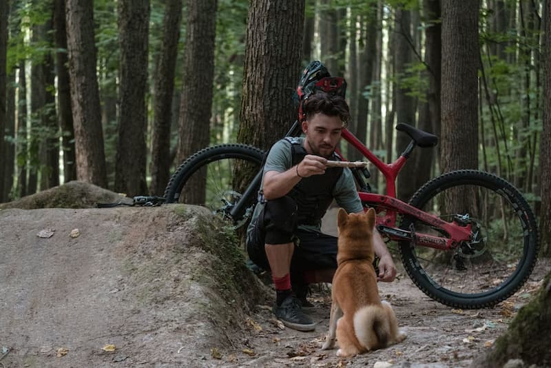 Randonnée en forêt