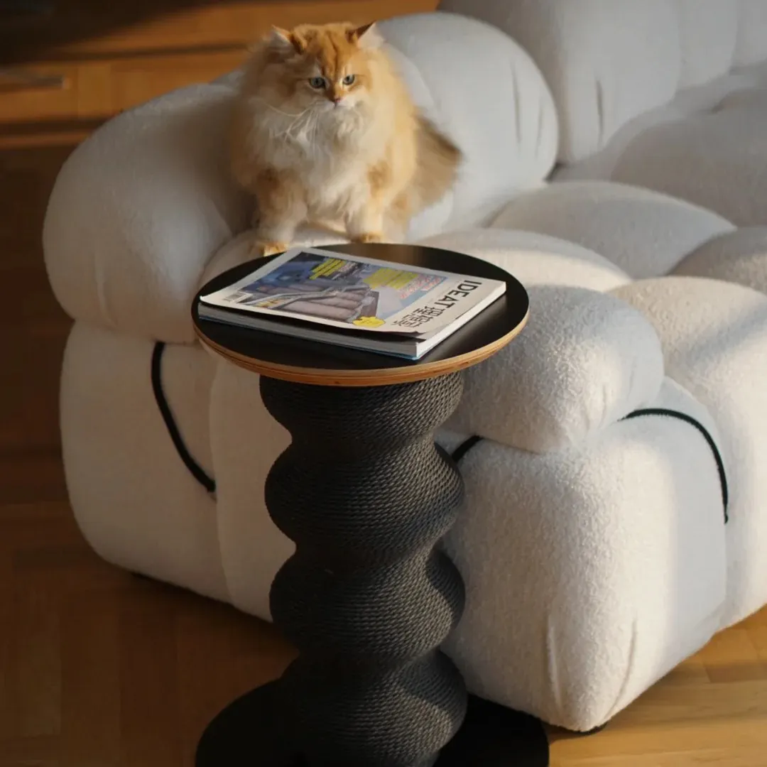 Chat installé sur un canapé