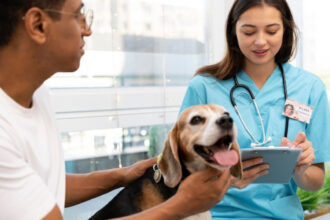 Frais vétérinaires en hausse : pourquoi l'assurance santé pour animaux devient incontournable ?