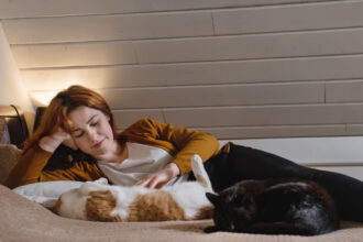 Les facteurs qui influencent le sommeil de votre chat