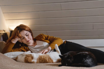 Les facteurs qui influencent le sommeil de votre chat