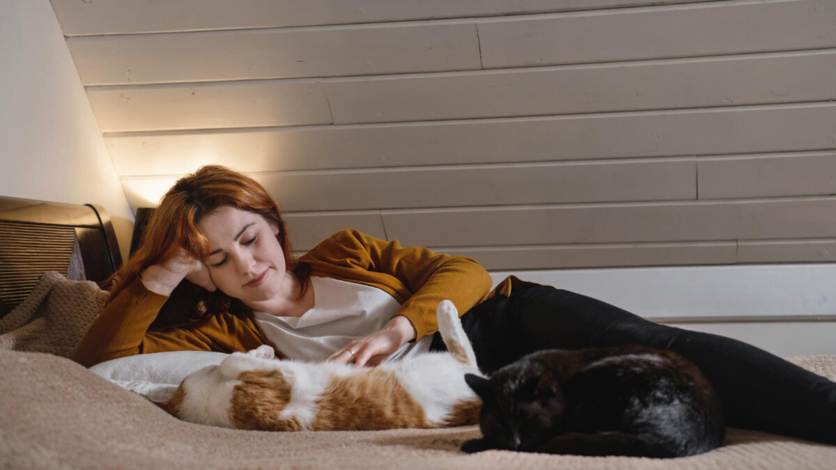 Les facteurs qui influencent le sommeil de votre chat
