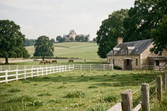Vue panoramique d'un centre équestre en Centre-Val de Loire avec des chevaux en liberté dans des prairies verdoyantes et un château en arrière-plan