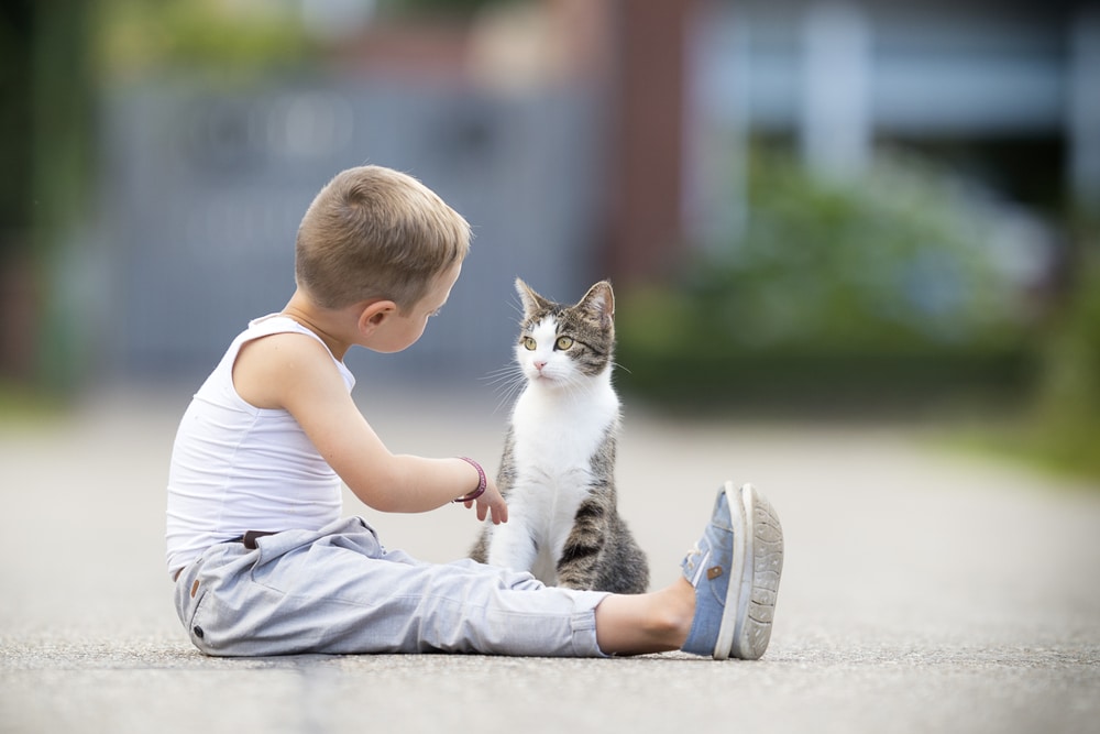 parler aux chats