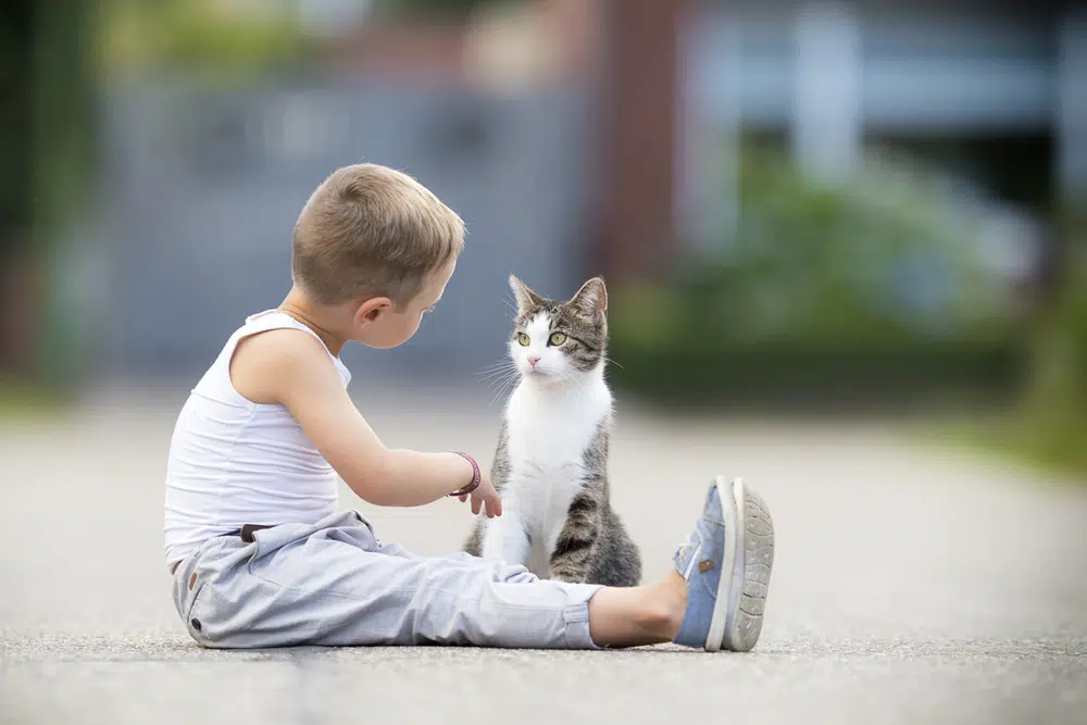 parler aux chats