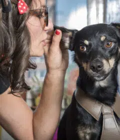 parler aux animaux