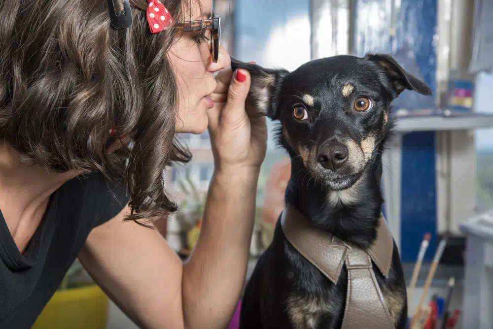 parler aux animaux