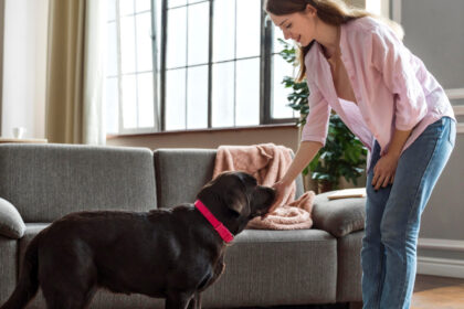 Pet sitter à domicile : la solution idéale pour vos animaux