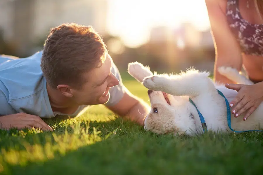 Un couple avec un chien