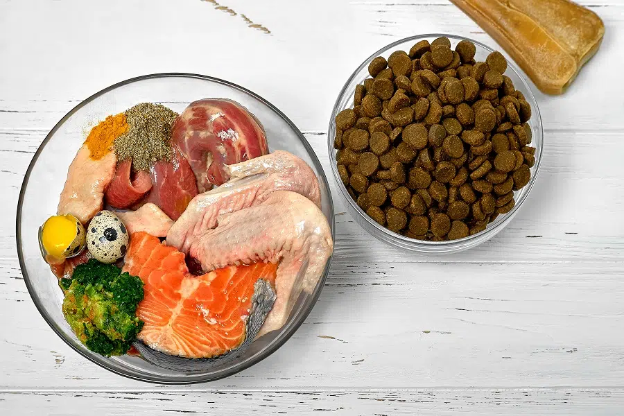 Alimentation pour chien